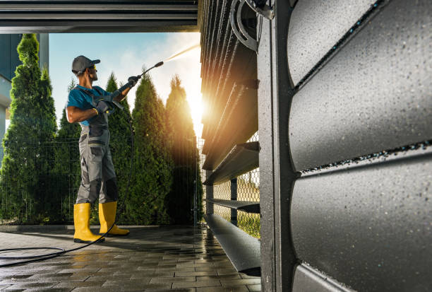 Best House Exterior Washing  in Anoka, MN